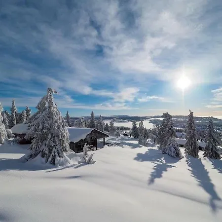 Three-bedroom Holiday In Sjusjoen